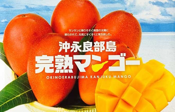 濃厚な果汁たっぷり！鹿児島県沖永良部島の完熟マンゴー