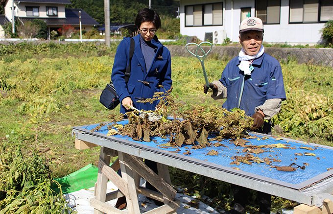 【福島県・鳥取県】オーディション前夜に食べる献立 その1 【福島県・鳥取県】オーディション前夜に食べる献立 その1